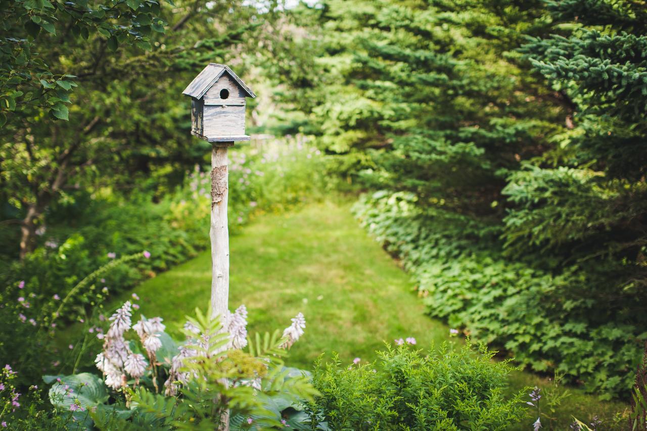 Abbie'S Garden Bed & Breakfast Grand Bank Eksteriør billede