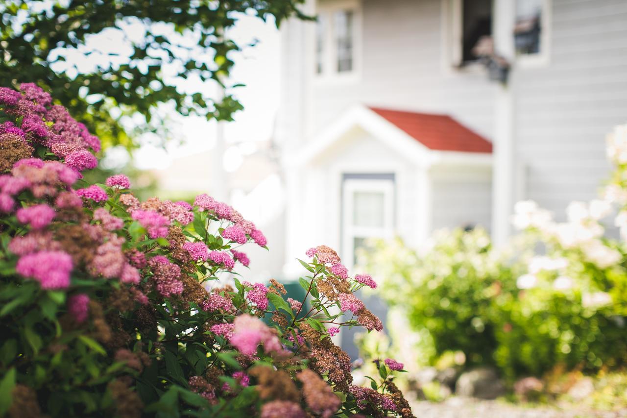 Abbie'S Garden Bed & Breakfast Grand Bank Eksteriør billede